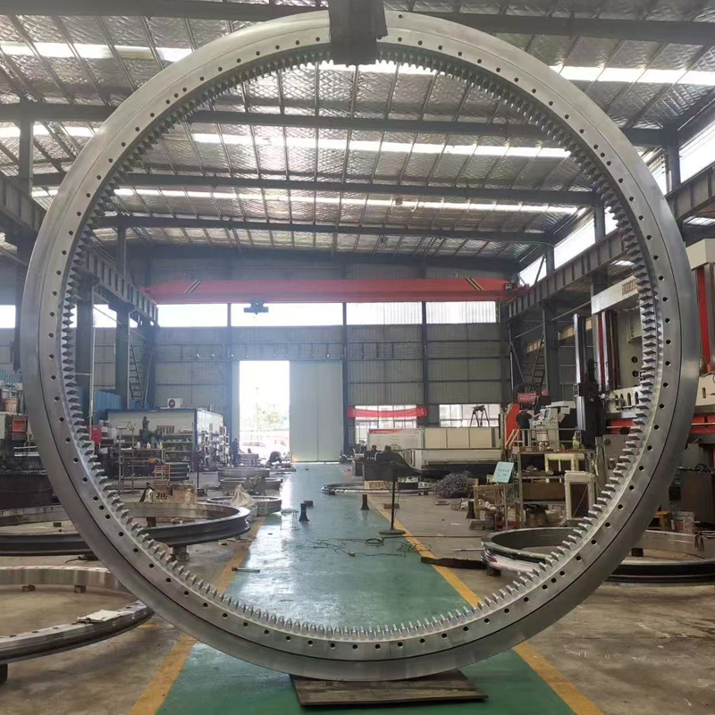 Ferris Wheel Slewing Bearing